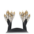 10' FT Premium 8 Channel Snake 8x RCA Male to 8x RCA Male Cable