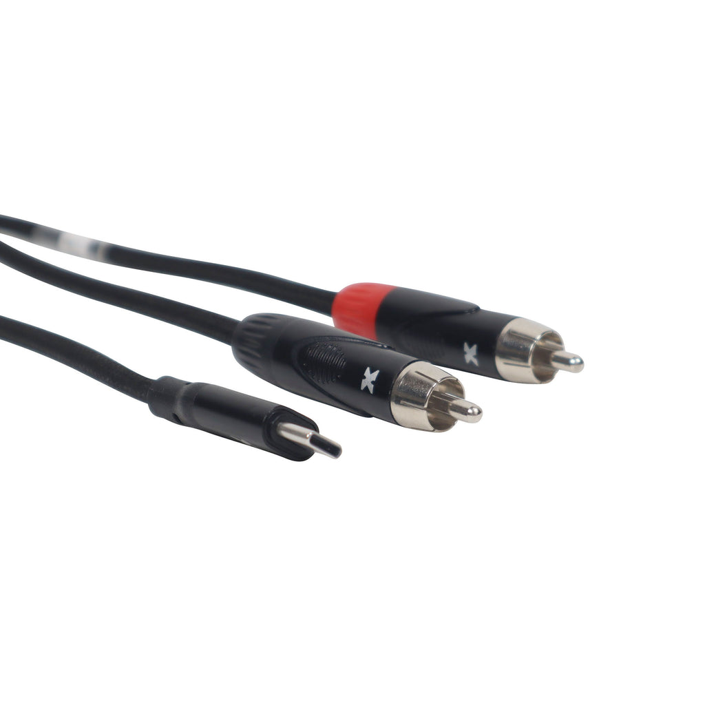 50PCS 6FT USB-C to Dual RCA