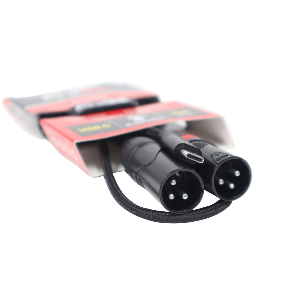3FT USB-C to Dual XLR-M