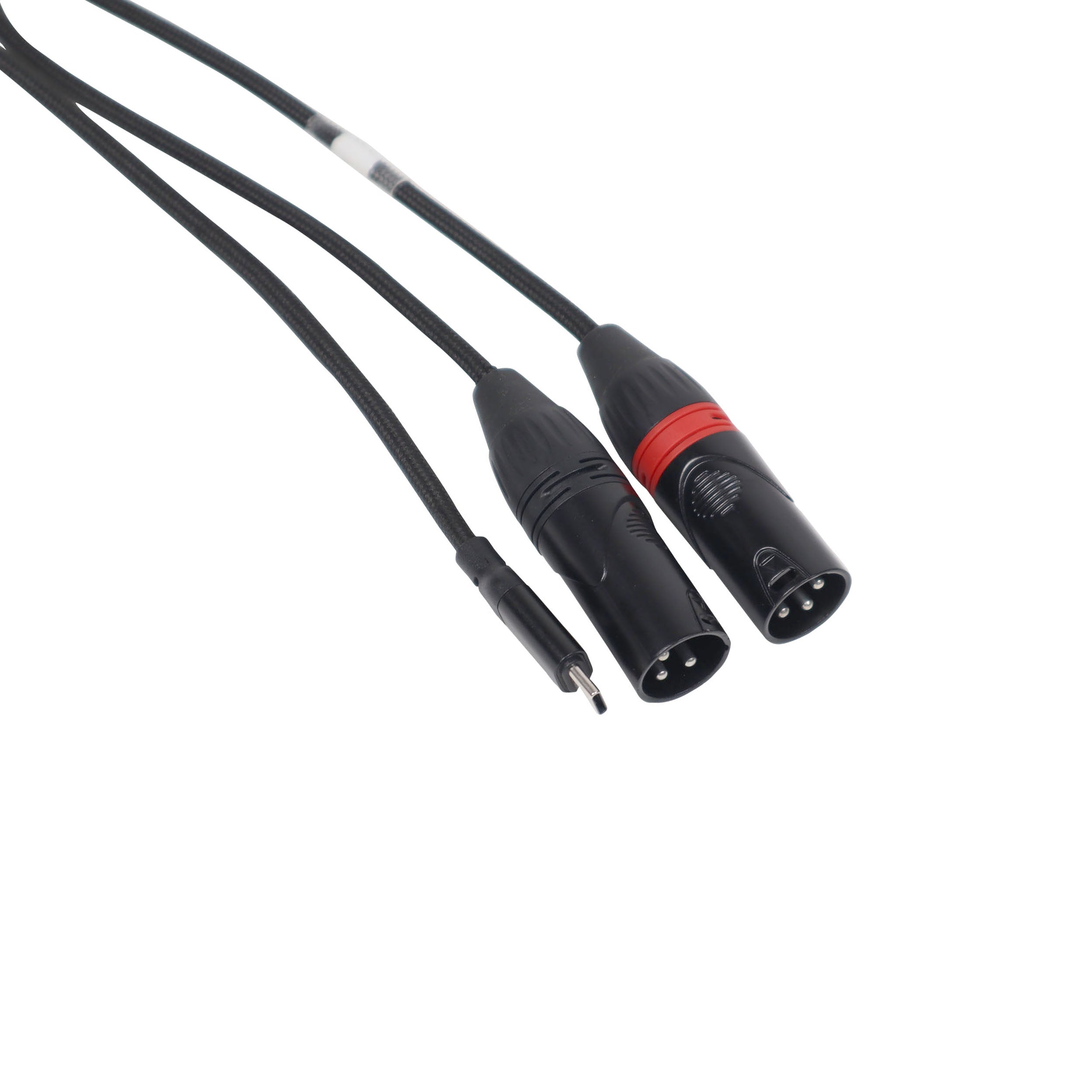 3FT USB-C to Dual XLR-M