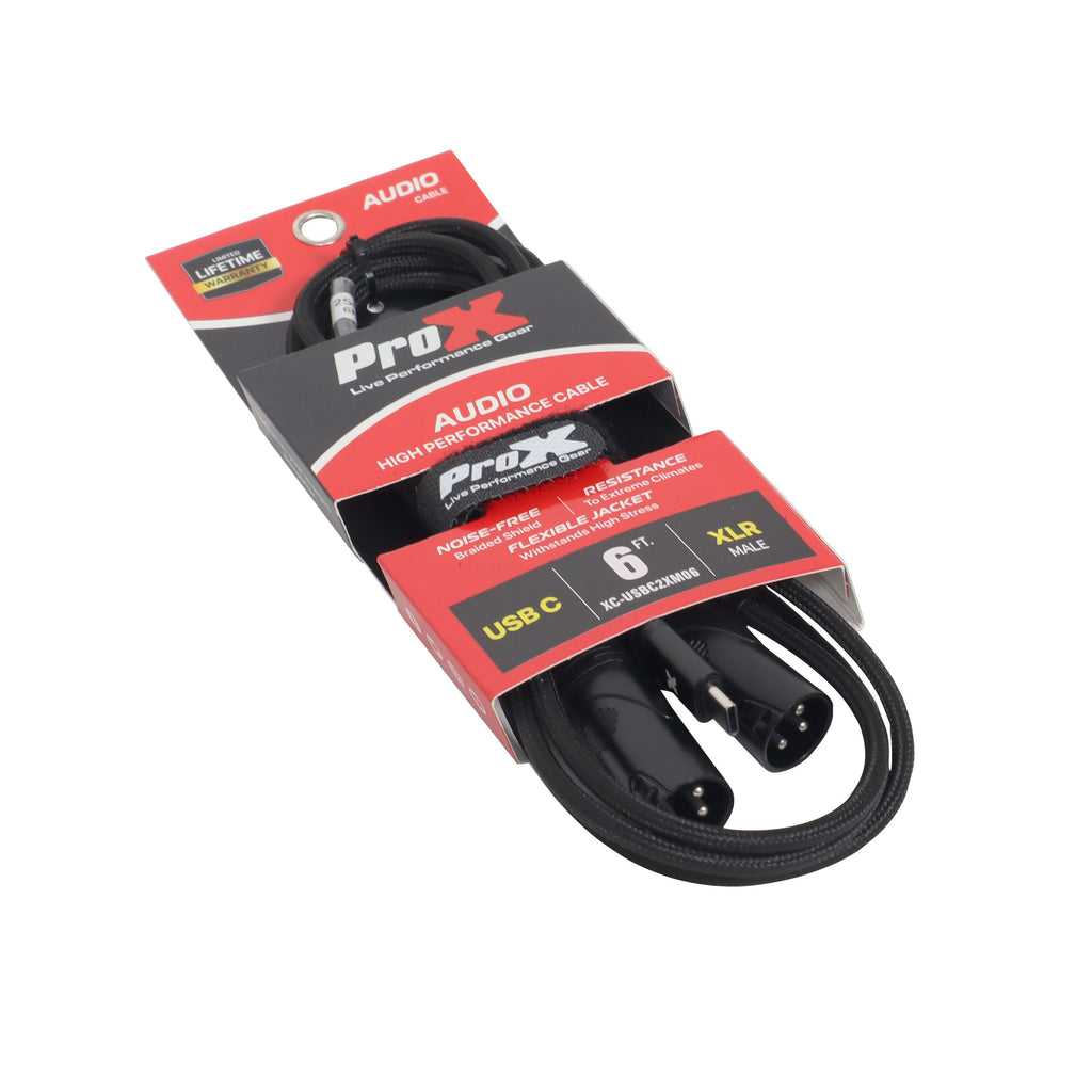6FT USB-C to Dual XLR-M